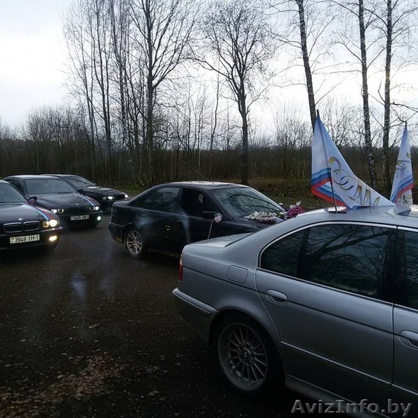 Фотозона  - Изображение #7, Объявление #1471699