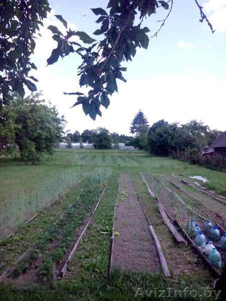 Огромный участок с жилым домом - Изображение #3, Объявление #1581603