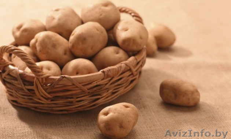 ОВОЩИ. подарок +10% БЕСПЛАТНО Доставка - Изображение #1, Объявление #1631942