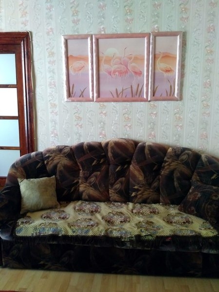 Сдам двушку на сутки в самом Центре - Изображение #6, Объявление #1339273